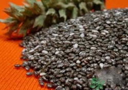 孕婦可以吃奇亞籽嗎？孕婦吃多少奇亞籽比較好？