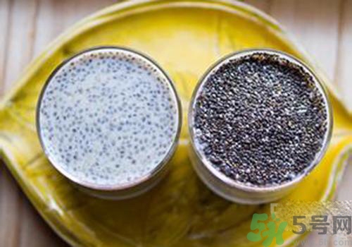 孕婦可以吃奇亞籽嗎？孕婦吃多少奇亞籽比較好？