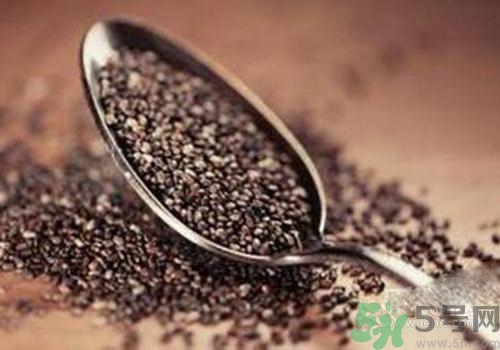 孕婦可以吃奇亞籽嗎？孕婦吃多少奇亞籽比較好？