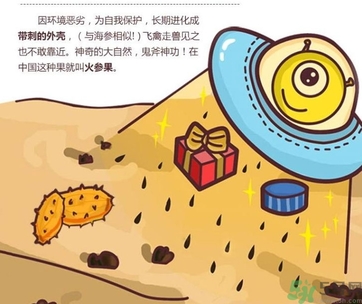 刺角瓜的功效作用 刺角瓜的營(yíng)養(yǎng)價(jià)值食用禁忌 刺角瓜的功效作用 刺角瓜的營(yíng)養(yǎng)價(jià)值食用禁忌