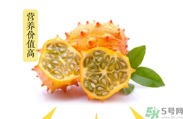 刺角瓜的功效作用 刺角瓜的營(yíng)養(yǎng)價(jià)值食用禁忌 刺角瓜的功效作用 刺角瓜的營(yíng)養(yǎng)價(jià)值食用禁忌