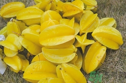 楊桃的熱量高嗎?一個(gè)楊桃的熱量是多少 楊桃的熱量高嗎?一個(gè)楊桃的熱量是多少