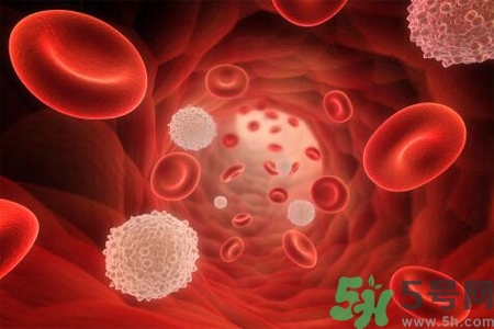 陰道出血和什么有關(guān)？陰道出血的應(yīng)急措施有哪些？