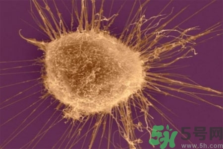 陰道干澀是什么？陰道干澀的危害有什么？