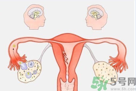 陰道干澀的原因是什么？陰道干澀怎么辦？