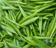 喝綠茶防癌嗎?綠茶可以預(yù)防什么癌癥? 喝綠茶防癌嗎?綠茶可以預(yù)防什么癌癥?