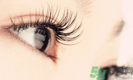 為什么睫毛膏會(huì)暈染?睫毛膏暈染怎么辦 為什么睫毛膏會(huì)暈染?睫毛膏暈染怎么辦