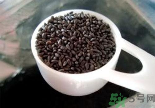 蘭香子的功效作用 蘭香子的營(yíng)養(yǎng)價(jià)值和食用禁忌