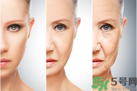 加速衰老的原因有哪些？人體衰老過程的變化是什么？