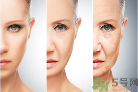 抗衰老的食物有哪些？?哪些食物會(huì)加速衰老？