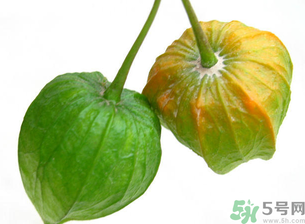 紅姑娘吃多了會怎樣？吃野生紅姑娘的好處和壞處