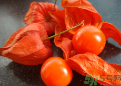 紅姑娘泡水喝可以治什么??？紅姑娘泡水喝的功效與作用