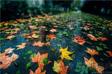 一場秋雨一場寒的意思?一場秋雨一場寒從什么時候開始? 一場秋雨一場寒的意思?一場秋雨一場寒從什么時候開始?