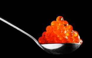  魚(yú)子醬好吃嗎？哪個(gè)牌子的魚(yú)子醬好？