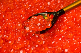  魚(yú)子醬好吃嗎？哪個(gè)牌子的魚(yú)子醬好？