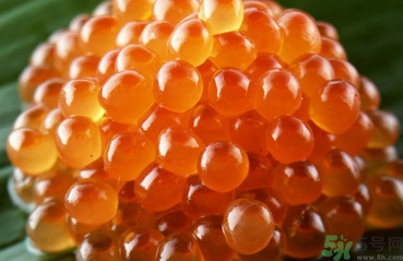 魚籽怎么清洗？魚籽怎么保存？