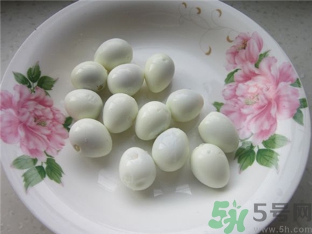 孕婦可以吃鵪鶉蛋嗎?孕婦吃鵪鶉蛋好嗎? 孕婦可以吃鵪鶉蛋嗎?孕婦吃鵪鶉蛋好嗎?