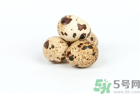 孕婦可以吃鵪鶉蛋嗎?孕婦吃鵪鶉蛋好嗎? 孕婦可以吃鵪鶉蛋嗎?孕婦吃鵪鶉蛋好嗎?