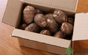 芋頭的營養(yǎng)價值 芋頭的功效與作用及食用方法 芋頭的營養(yǎng)價值 芋頭的功效與作用及食用方法