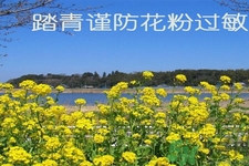 花粉過敏的表現(xiàn)是什么？如何有效的預(yù)防花粉過敏？