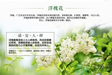 洋槐蜜的鑒別方法是什么？洋槐蜜多少錢一斤？