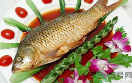 吃魚眼睛對眼睛有好處嗎？吃什么魚對眼睛好？