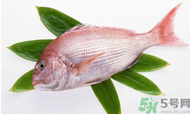 吃魚眼睛對眼睛有好處嗎？吃什么魚對眼睛好？
