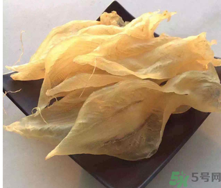 魚膠是什么？魚膠的功效與作用？