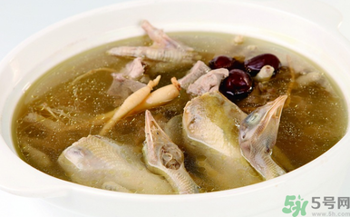 孕婦可以吃魚膠嗎？魚膠怎么燉適合孕婦吃？