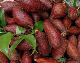 孕婦可以吃蛇皮果嗎？孕婦吃蛇皮果有什么好處？