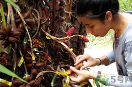 孕婦可以吃蛇皮果嗎？孕婦吃蛇皮果有什么好處？