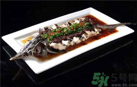 中華鱘的營養(yǎng)價值 中華鱘的功效與作用 中華鱘的營養(yǎng)價值 中華鱘的功效與作用