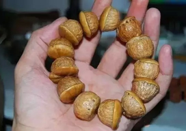 壯陽果怎么泡酒？ 壯陽果泡酒的功效與作用