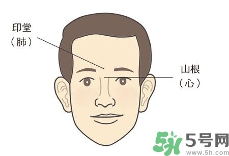 耳垂上有豎紋是怎么回事？山根有橫紋是什么??？