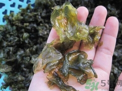 地皮菜是發(fā)物嗎？地皮菜的功效與禁忌