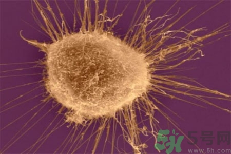 男性外陰瘙癢的原因是什么？男性外陰瘙癢用什么藥？