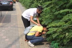 橘子能解暈車嗎?暈車吃橘子有用嗎 橘子能解暈車嗎?暈車吃橘子有用嗎