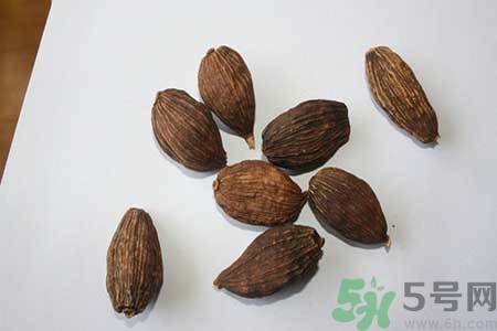 草果是什么？草果的功效與作用