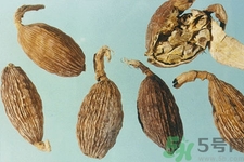 草果是什么？草果的功效與作用