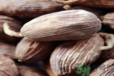 草果是什么？草果的功效與作用