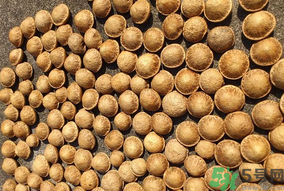 壯陽果怎么吃？壯陽果怎么吃效果最好？