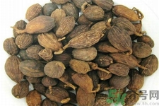 草果是什么？草果的功效與作用