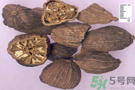 草果是什么？草果的功效與作用