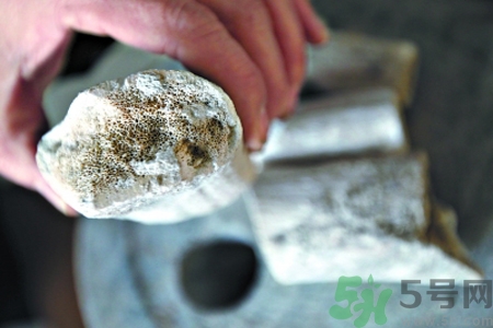 鹿角霜的藥用價值是什么？鹿角霜的功效和作用