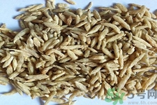 麥冬的營養(yǎng)價值有哪些？麥冬的功效與作用是什么？