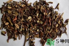 皂角刺的藥用價值是什么？皂角刺的功效與作用有哪些？