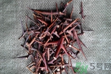 皂角刺的藥用價值是什么？皂角刺的功效與作用有哪些？