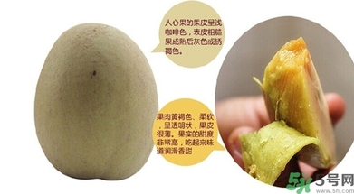 人心果的功效作用 人心果的營養(yǎng)和食用禁忌 人心果的功效作用 人心果的營養(yǎng)和食用禁忌