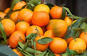 橘子白色的絲吃了好不好？橘子白色的絲能吃嗎？