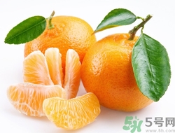 橘子沒熟能泡水喝嗎?橘子沒熟泡水喝會(huì)怎么樣 橘子沒熟能泡水喝嗎?橘子沒熟泡水喝會(huì)怎么樣